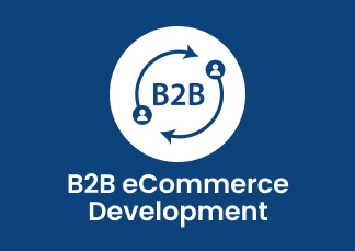 B2B eCommerce Development